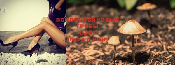 не бодяженный Медвежьегорск