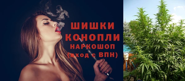 стаф Мегион