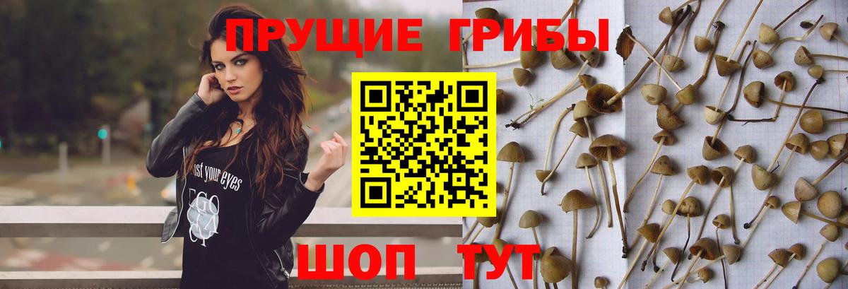 Галлюциногенные грибы мухоморы  Псилоцибиновые грибы Psilocybe  Архангельск 