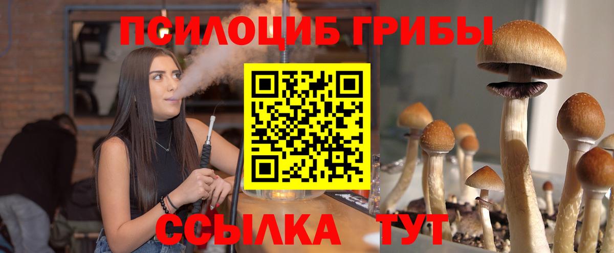 Галлюциногенные грибы мицелий  Псилоцибиновые грибы GOLDEN TEACHER  Вход с VPN  что такое наркотик  Архангельск 