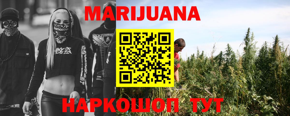 Шишки марихуана конопля Архангельск